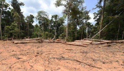 At meeting in Canada, global fund launched to protect nature