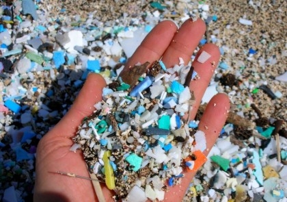Study shows microplastics can alter behaviour, brain

