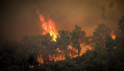 Greece blaze is 'largest wildfire ever recorded in EU'