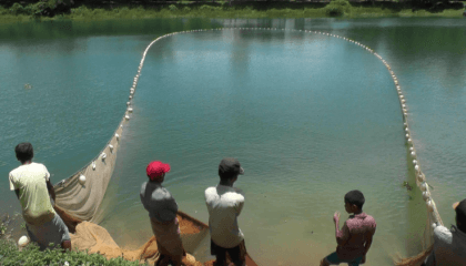 4-month ban on fishing in Kaptai Lake to end Thursday midnight