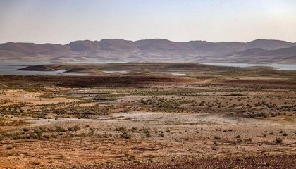 Climate change supercharged this summer's record heat: study