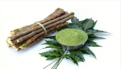 How having neem leaves daily can keep diseases at bay​