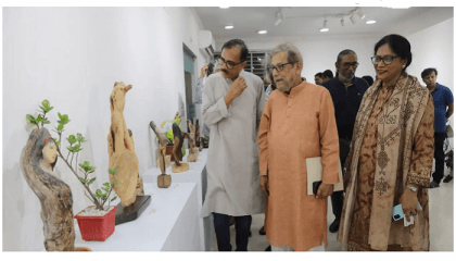 Driftwood art exhibition by sculptor AA Rasha inaugurated in Dhaka's Dhanmondi