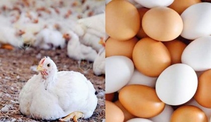 Chicken, egg reasons behind record inflation: Planning  Minister
