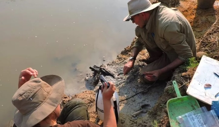 Half-million-year-old wooden structure unearthed in Zambia