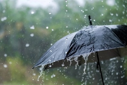 Met office forecasts rain in all 8 divisions