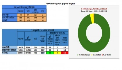 13 more dengue patients die, 2425 cases reported in 24hrs