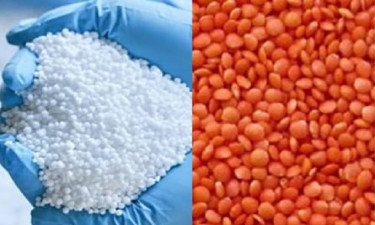 Govt to procure 1.70 lakh tonnes fertilizer, 10,000 tonnes lentils