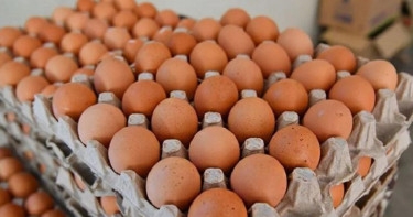 Egg price continues to skyrocket