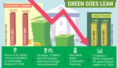 Sustainable financing drops in Jan-Mar quarter