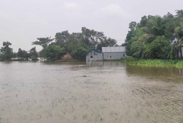 Major flood looms in Sylhet as parts of 4 upazilas under water