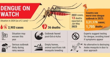 Experts fear post-Eid dengue surge
