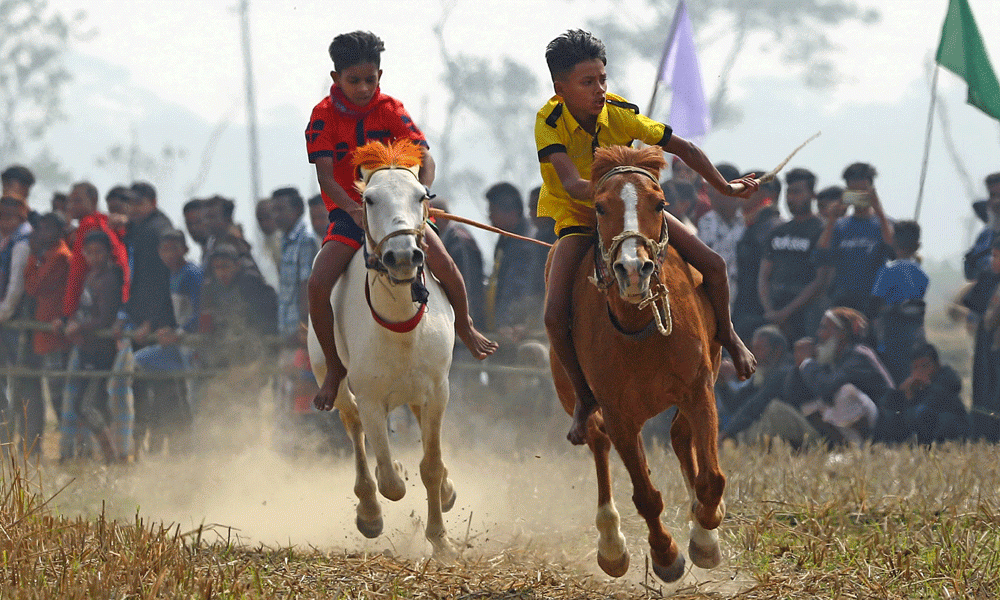 Despite waning popularity of rural horse races, the Dasghar Union under the Vishwanath Upazila of Sylhet has revived this event after 22 years, much to the delight of the residents.  Photo : Reaz Ahmed Sumon