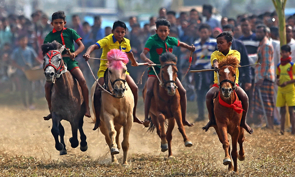 Horse races in Dasghar Union under the Vishwanath Upazila of Sylhet have revived after 22 years. Photo : Reaz Ahmed Sumon