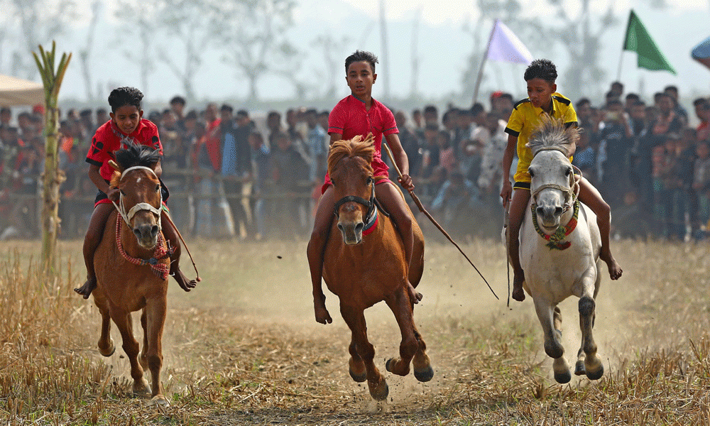 Despite waning popularity of rural horse races, the Dasghar Union under the Vishwanath Upazila of Sylhet has revived this event after 22 years, much to the delight of the local residents. The competition, organised by the Dasghar Union, attracts participants from 12 Upazilas in the Sylhet region, with a total of 113 horses taking part. Each horse carries a unique and interesting name, adding to the charm of the event. Photo : Reaz Ahmed Sumon