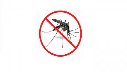 Dengue: 20 more patients hospitalised in 24 hrs