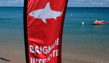 Tourist killed in shark attack off New Caledonia