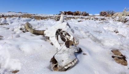 Extreme cold winter freezes Mongolia
