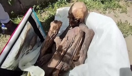 Ancient mummy found in delivery man's bag