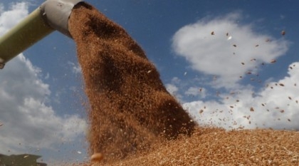 Russian new regions’ grain production potential estimated at 5-6 mln tons a year — expert

