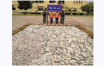 138 maunds of hilsa fry seized in Bhola