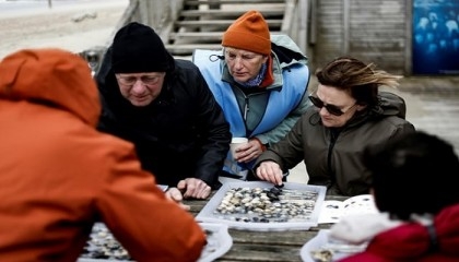 North Sea shell survey brings out volunteers