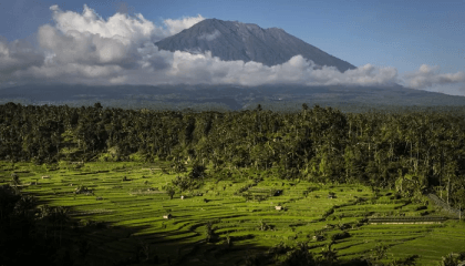Tourist who poses naked on Bali peak to be deported