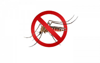 Bangladesh reports 2 more dengue cases
