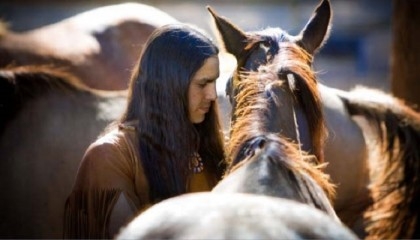Horses part of Native American life earlier than thought: study