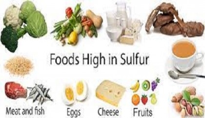Sulphur-rich foods to include in diet