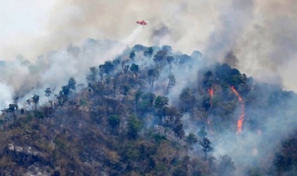 Thai firefighters battle forest blaze