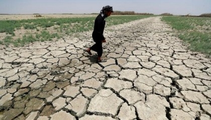 Emissions cuts can slash heat deaths in Mideast, N. Africa: study
