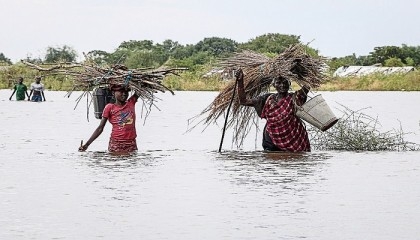 In flood-hit South Sudan, women harness power of plants