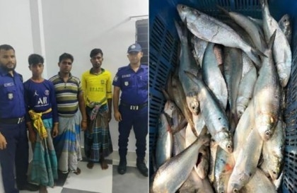 11 fishermen held for violating Hilsha ban in Chandpur