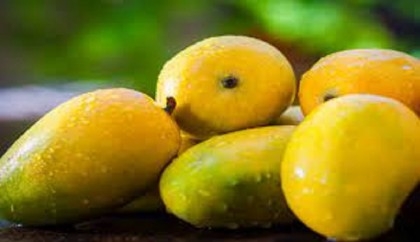 5 rules to eat mangoes to prevent blood sugar spikes 