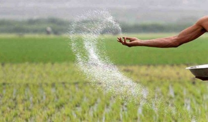 Govt raises fertiliser prices by Tk 5 per kg