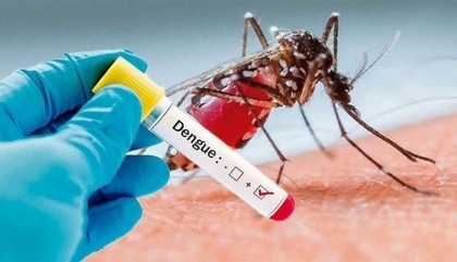 Bangladesh reports zero dengue cases, deaths