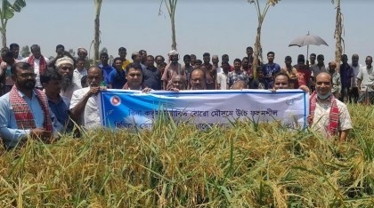Experts suggest farmers to cultivate BINA Dhan at larger scale

