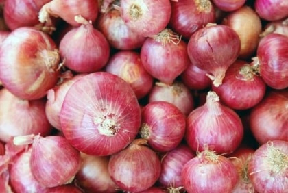 Proper preservation of onions to end instability, crisis: Agriculture Minister 