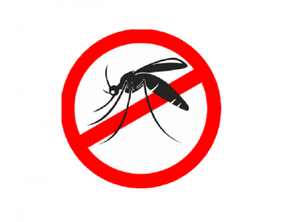 Dengue numbers keep rising: 80 cases reported in a day