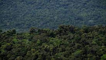 Brazil lawmakers vote to limit demarcation of Indigenous reserves