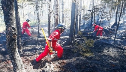 Firefighters in east Canada battle 'unprecedented' blazes