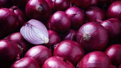 Govt to allow onion import from Monday: Agriculture Ministry
