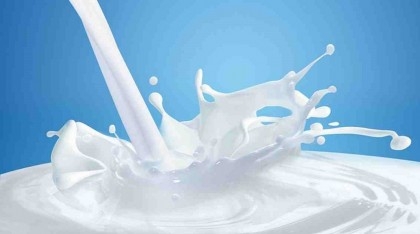 Private companies supply poor quality milk: Parliamentary watchdog
