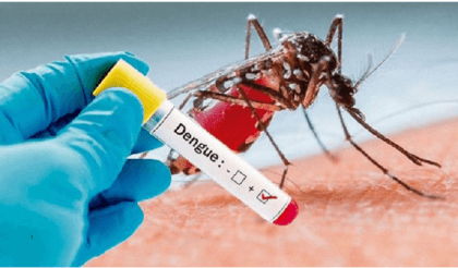 Bangladesh reports 96 more dengue cases