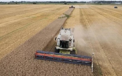 EU restrictions on Ukraine grain imports extended to September 15
