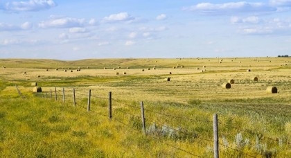Canadian Prairies farmers try to adapt to a warming world