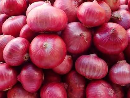 10 tonnes of onion imported from India through Akhaura port