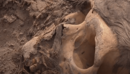 Archeologists find mummy surrounded by coca leaves on hilltop in Peru’s capital
