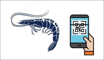 Shrimp industry to use QR codes to brand Bangladesh